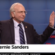 Turns Out Bernie Sanders Is Actually Larry David's 'Third Cousin, or Something'